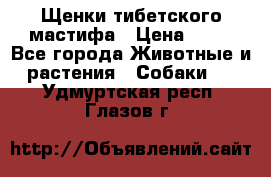 Щенки тибетского мастифа › Цена ­ 80 - Все города Животные и растения » Собаки   . Удмуртская респ.,Глазов г.